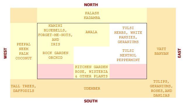 Vastu for Trees and Plants